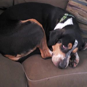 Meet your Posher, Michaela